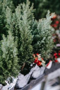 Storing seasonal items