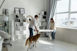Moving with pets