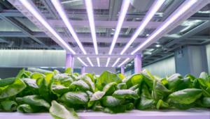 12 Benefits and Advantages of LED Lights