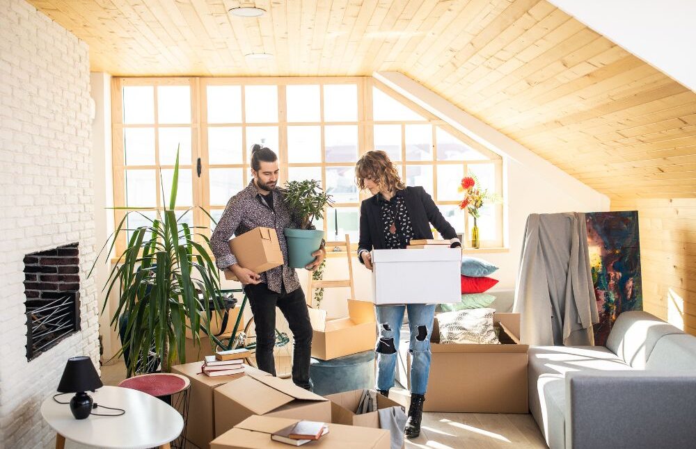 Planning a Christmas move