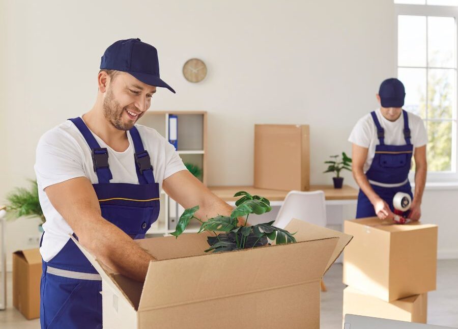 How much does it cost to use a removal company?