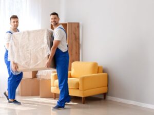 Excellent Storage to Removal Service with Your Needs?
