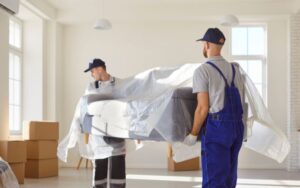 What is furniture removals services