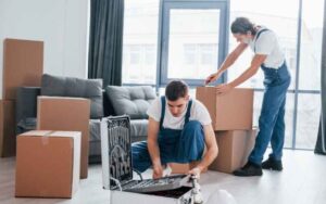 What are the removal companies in East Anglia?