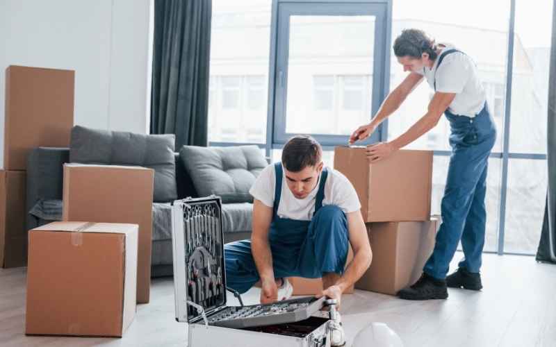 What are the removal companies in East Anglia?