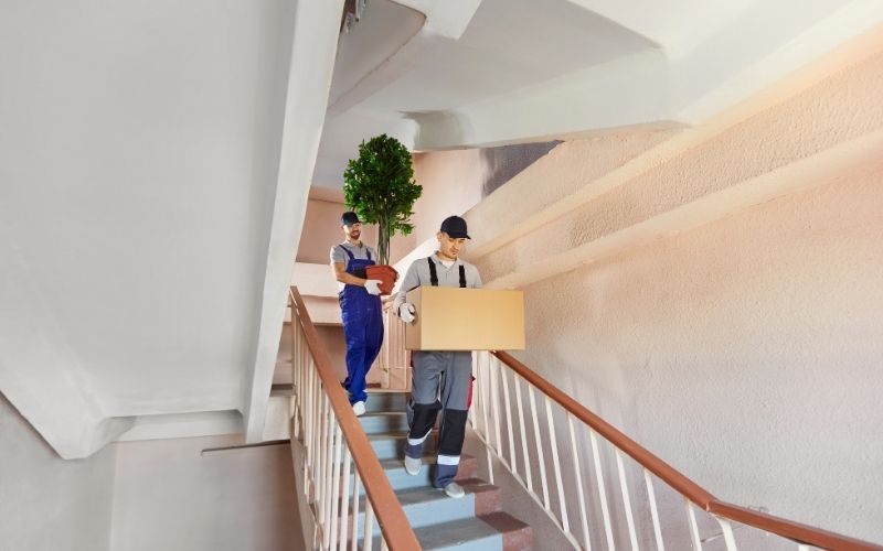 Who provides the best removals in East Anglia