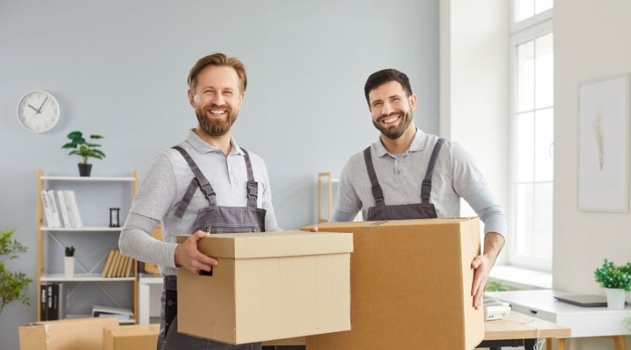 What are the services offered by junk removal companies