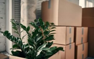 What makes a tree removal service reliable