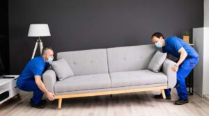 Who are the professional removalists in East Anglia