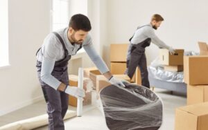 Best boxes for moving house
