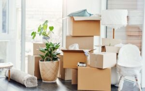 Eco-Friendly Moving Tips for House Relocations